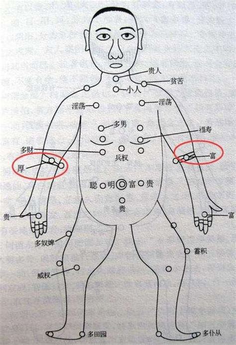 前手臂有痣|手上8處長痣有好運！上手臂=不愁沒人愛、掌心=大富。